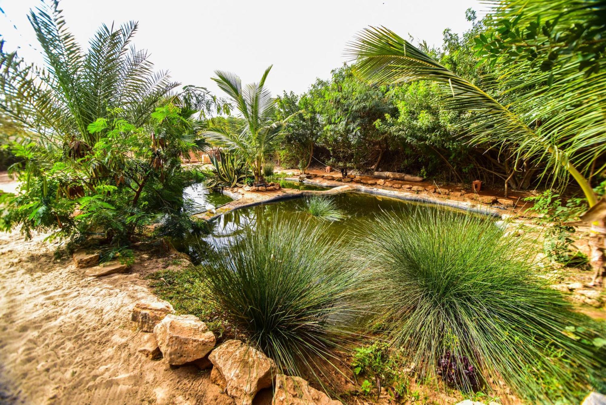 Dar Tawarta Guest House Dakhla Exterior photo